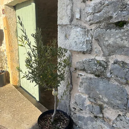 Apartment La Petite Parenthese Saint-Andre-de-Cruzieres